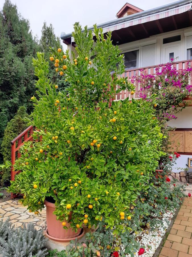 Rozsakert Vendeghaz Bed and Breakfast Szigliget Buitenkant foto