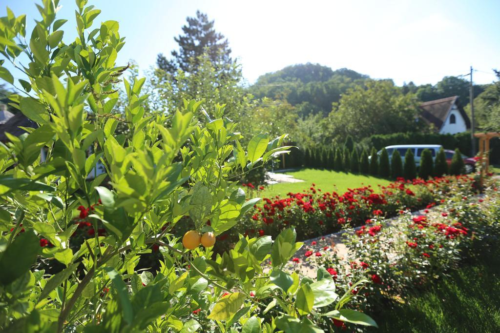 Rozsakert Vendeghaz Bed and Breakfast Szigliget Buitenkant foto