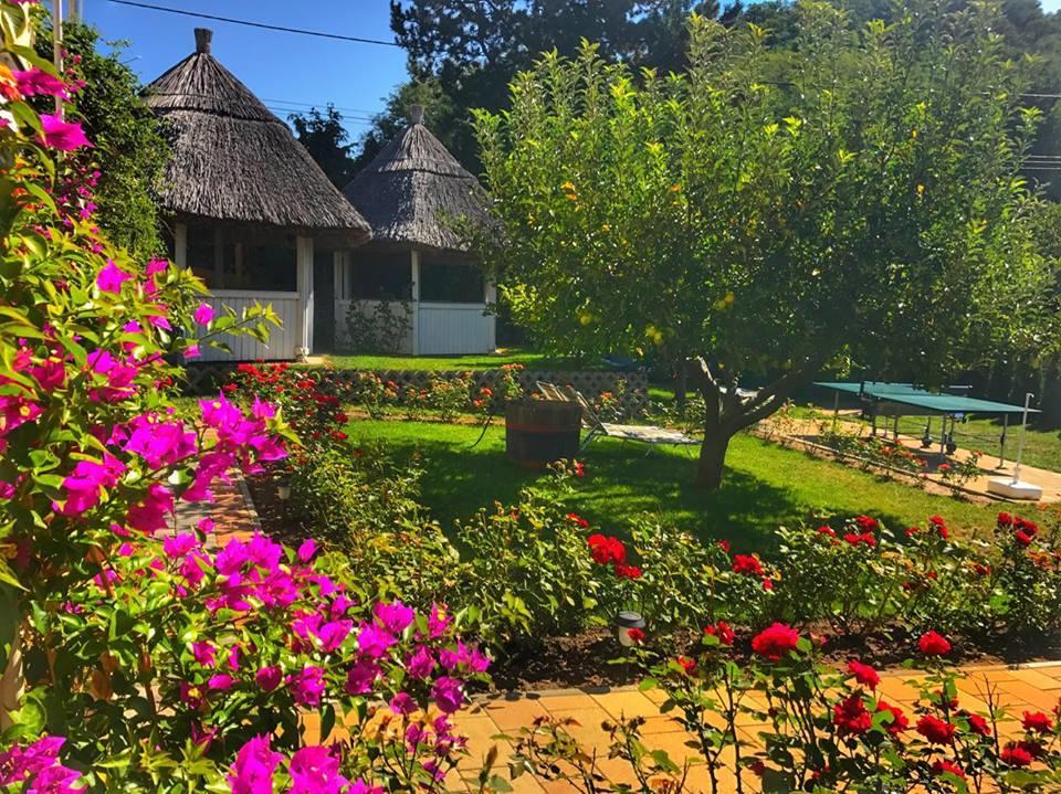 Rozsakert Vendeghaz Bed and Breakfast Szigliget Buitenkant foto